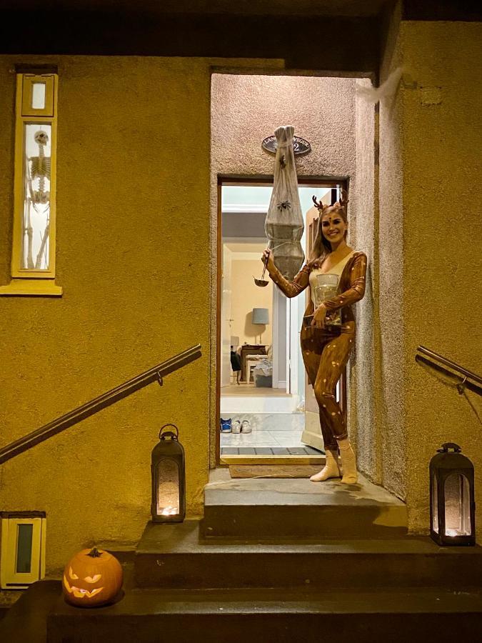 Casa Disa - Dreams, A Boutique Guesthouse In Reykjavik City'S Central Park And Botanical Garden In Laugardalur, Hot-Spring-Valley מראה חיצוני תמונה