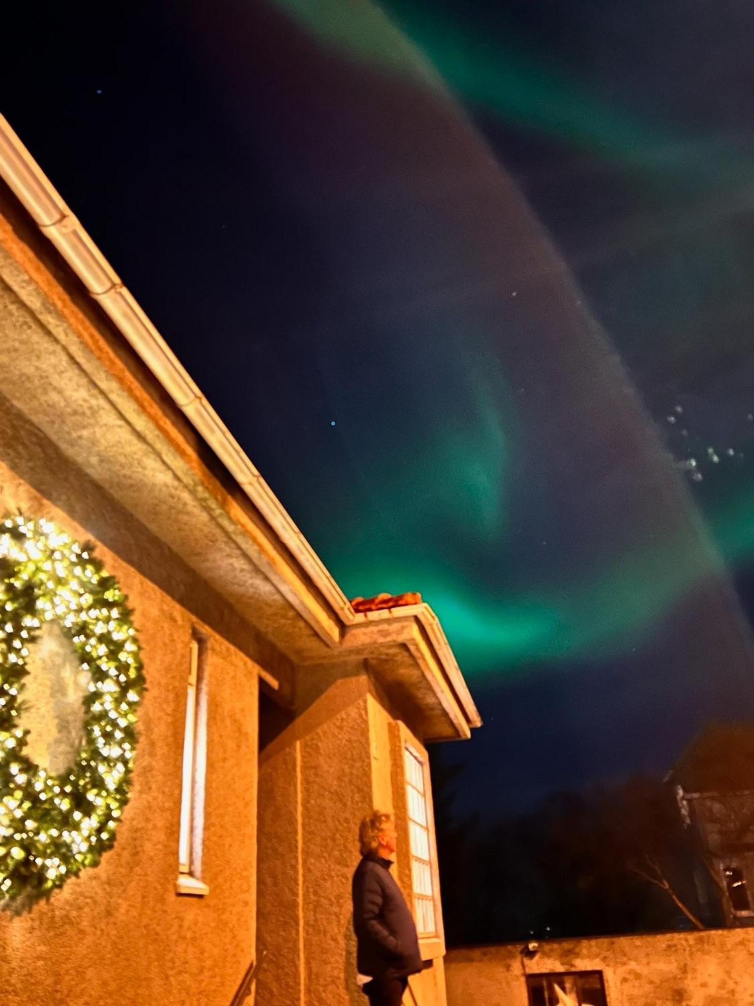 Casa Disa - Dreams, A Boutique Guesthouse In Reykjavik City'S Central Park And Botanical Garden In Laugardalur, Hot-Spring-Valley מראה חיצוני תמונה