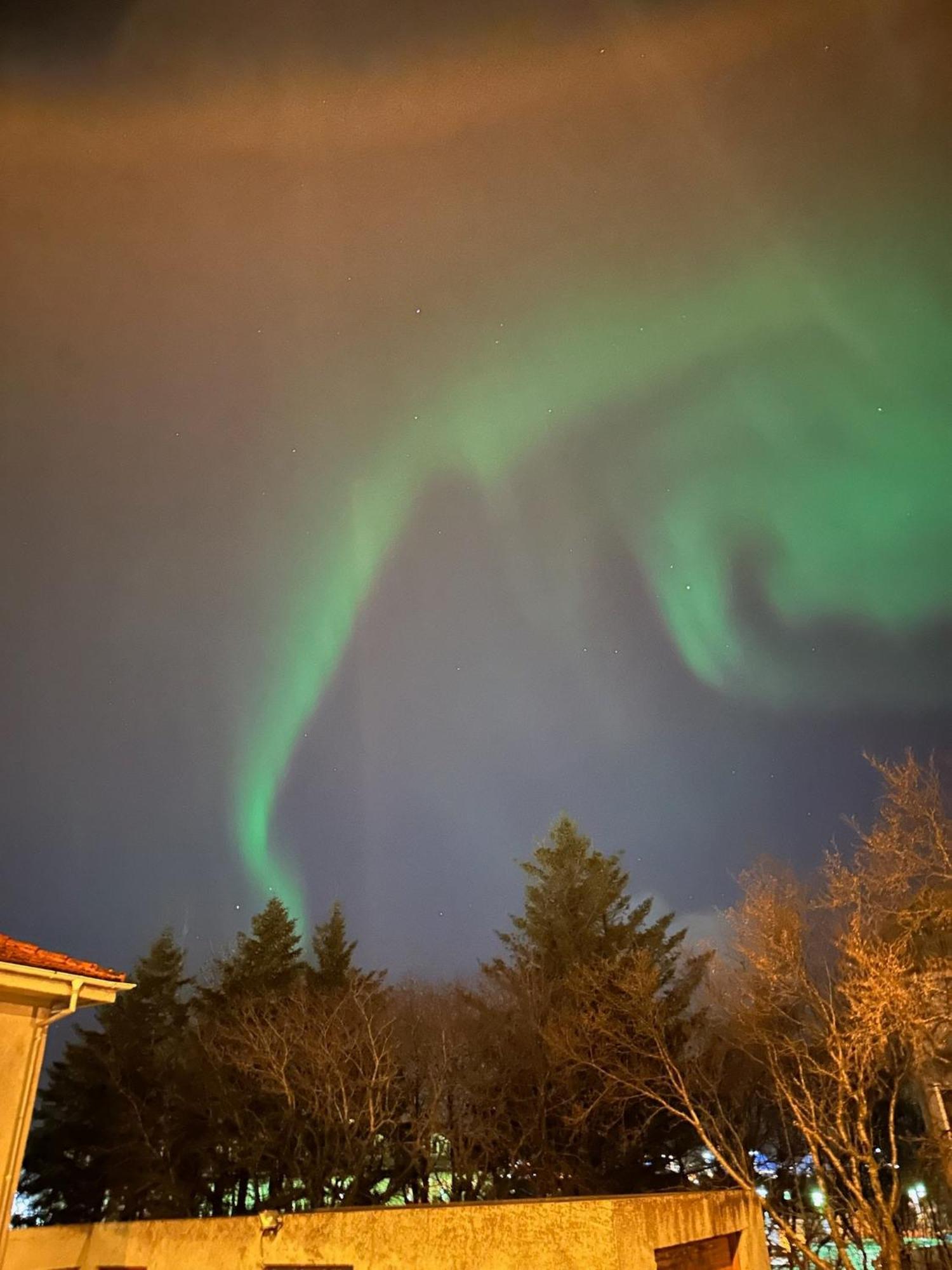 Casa Disa - Dreams, A Boutique Guesthouse In Reykjavik City'S Central Park And Botanical Garden In Laugardalur, Hot-Spring-Valley מראה חיצוני תמונה