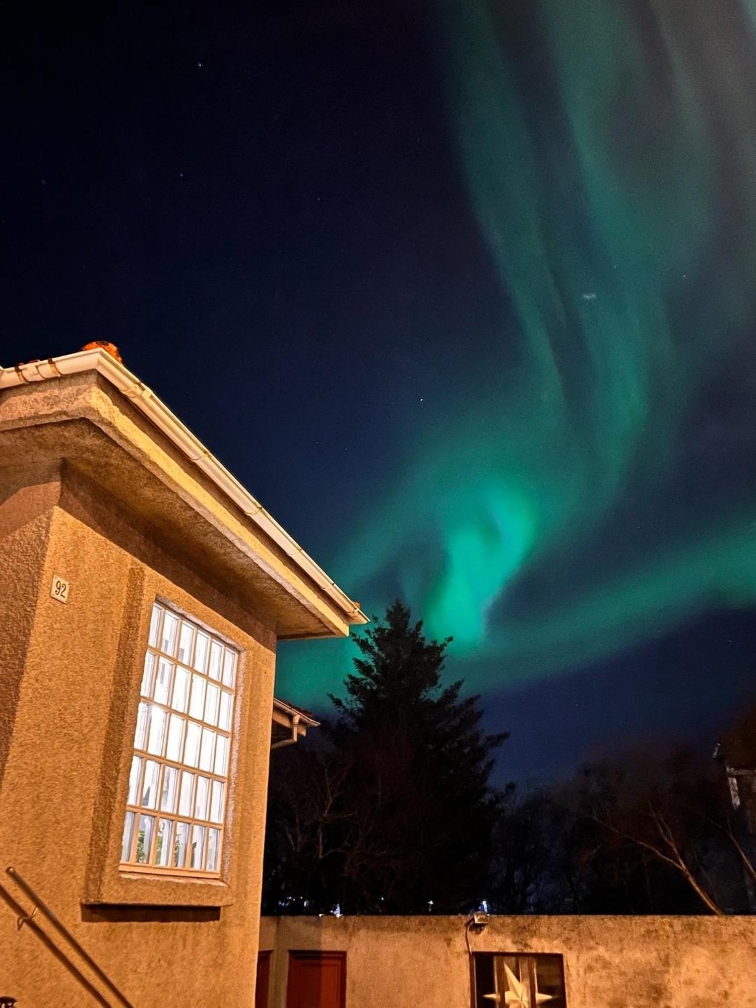 Casa Disa - Dreams, A Boutique Guesthouse In Reykjavik City'S Central Park And Botanical Garden In Laugardalur, Hot-Spring-Valley מראה חיצוני תמונה