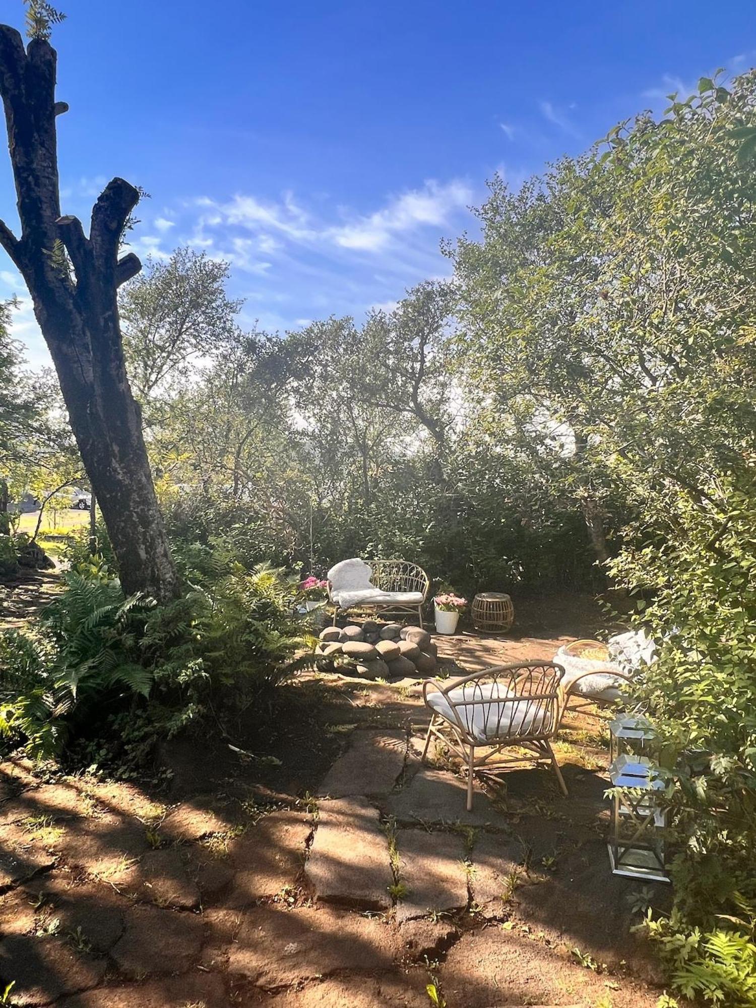 Casa Disa - Dreams, A Boutique Guesthouse In Reykjavik City'S Central Park And Botanical Garden In Laugardalur, Hot-Spring-Valley מראה חיצוני תמונה